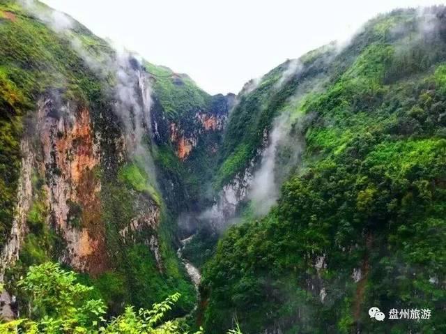 像极了爱情-专业问答类网站