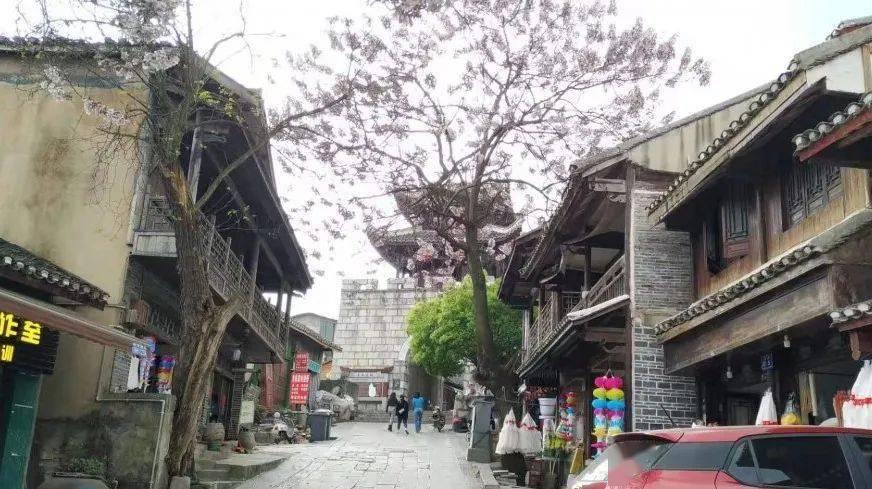 疾速问答,尽在长春特殊教育大学录取分数蜗牛问答平台